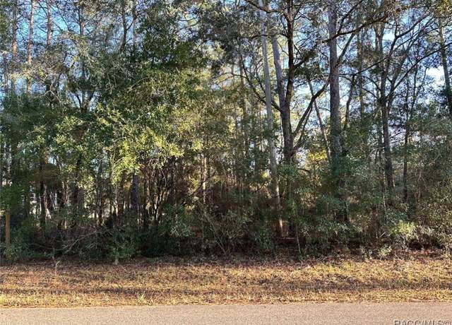 Property at 24 W Norwood Pl, Citrus Springs, FL 34434