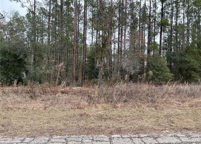Property at 10901 N Robert Dean Way, Citrus Springs, FL 34434