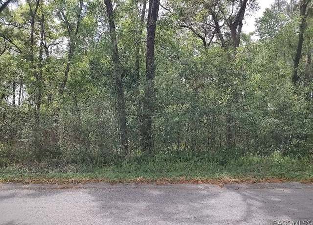 Property at 3800 S Diamond Ave, Inverness, FL 34452