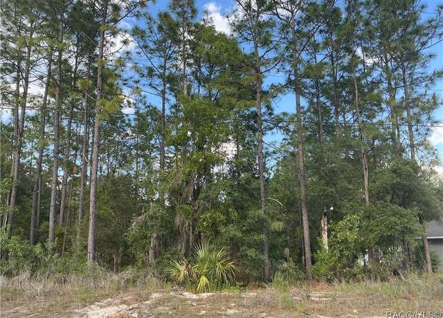 Property at 9501 N Akola Way, Citrus Springs, FL 34434