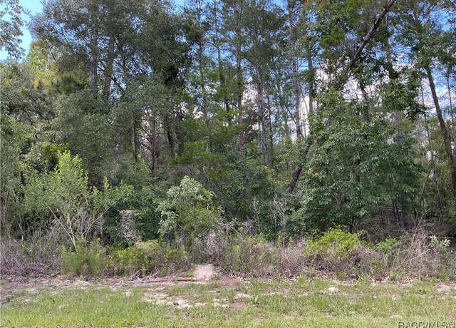 Property at 65 Bells Of Ireland Ct, Homosassa, FL 34446