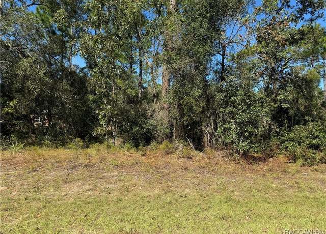 Property at 3671 W Galtonia Ln, Citrus Springs, FL 34433