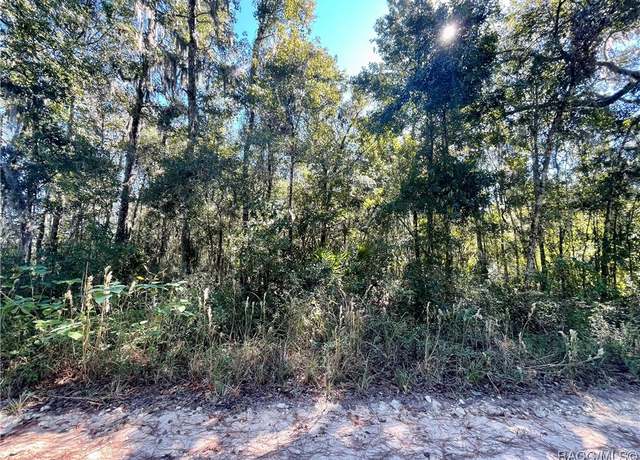 Property at 13232 SW 18th Street Rd, Ocala, FL 34481