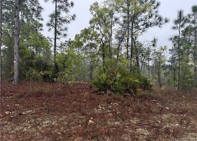 Property at 5923 N Buffalo Dr, Beverly Hills, FL 34465