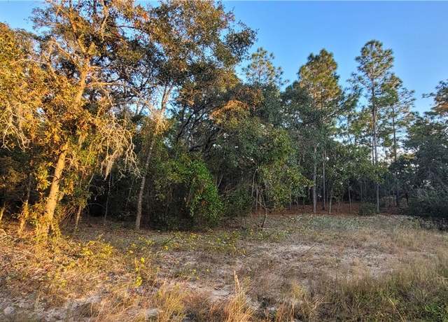 Property at 11377 N Kenney Loop, Citrus Springs, FL 34434