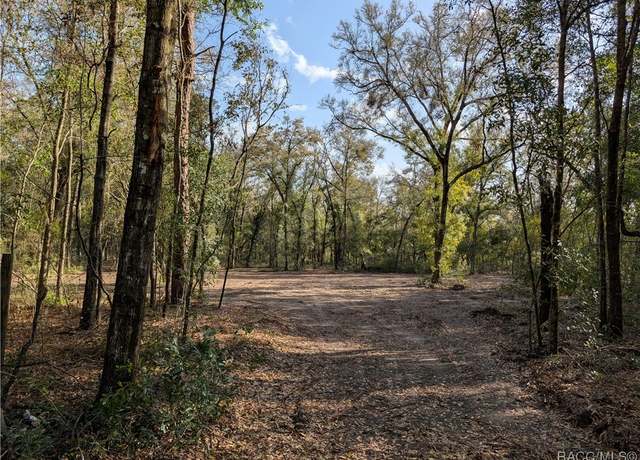 Property at 290 E Joshua Ct, Hernando, FL 34442