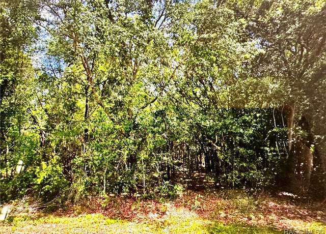 Property at 2678 E Celina St, Inverness, FL 34453