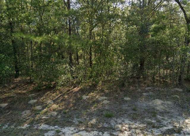 Property at 8904 N Alameda Dr, Citrus Springs, FL 34434
