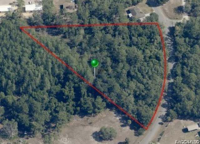 Property at 6154 S Lewdingar Dr, Homosassa, FL 34446