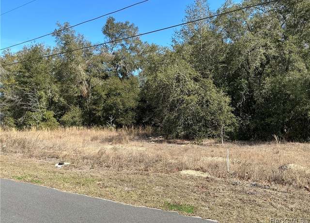 Property at 11022 N Academy Dr, Citrus Springs, FL 34434
