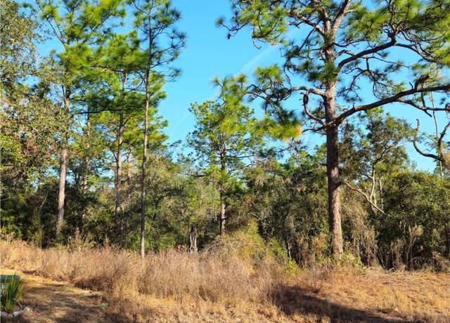Property at 32 Cherrypalm Ct, Homosassa, FL 34446
