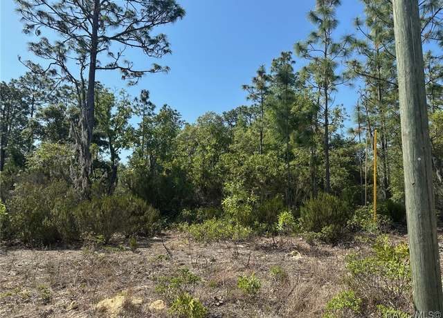 Property at 2806 W Arbutus Dr, Citrus Springs, FL 34433