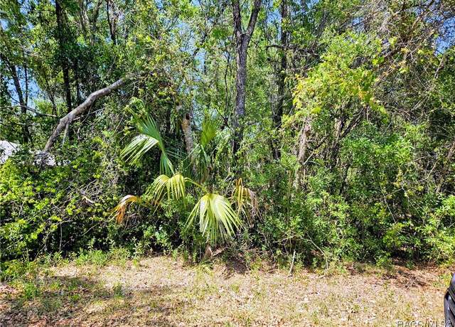Property at 4043 E Dano St, Inverness, FL 34453