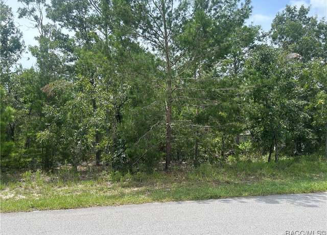Property at 1 Cosmos Ct E, Homosassa, FL 34446