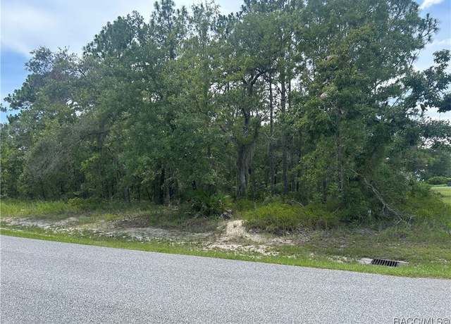 Property at 165 Daisy St, Homosassa, FL 34446