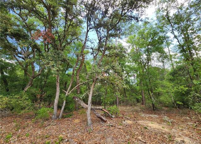 Property at 9017 N Ruby Way, Dunnellon, FL 34434