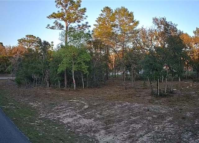 Property at 6599 N Varsity Ave, Citrus Springs, FL 34434