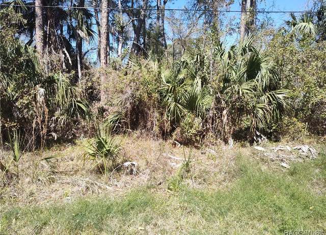 Property at 8213 W Ox Eye Pl, Homosassa, FL 34448