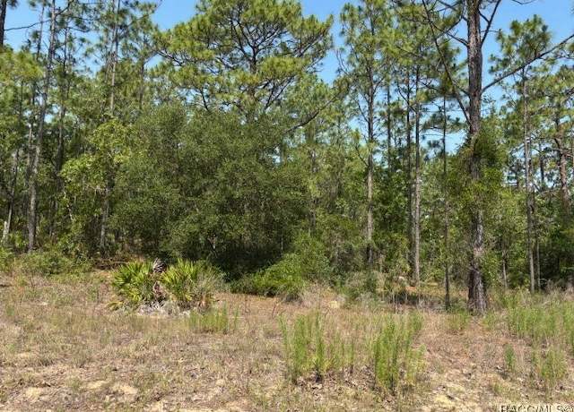 Property at 5724 N Durango Ter, Beverly Hills, FL 34465