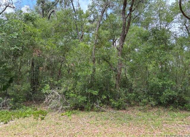 Property at 9704 N Feigel Ter, Crystal River, FL 34428