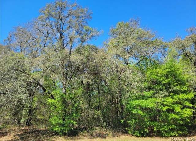 Property at Undisclosed address, Dunnellon, FL 34434