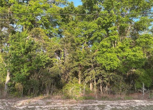 Property at 231 N Kensington Ave, Lecanto, FL 34461