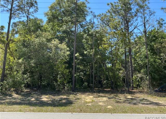 Property at 9784 N Country Club Way, Citrus Springs, FL 34434