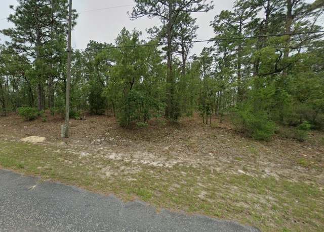 Property at 1334 W Newbury St, Citrus Springs, FL 34434