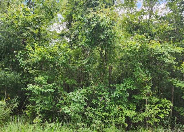 Property at 2037 E Colony Ln, Inverness, FL 34453