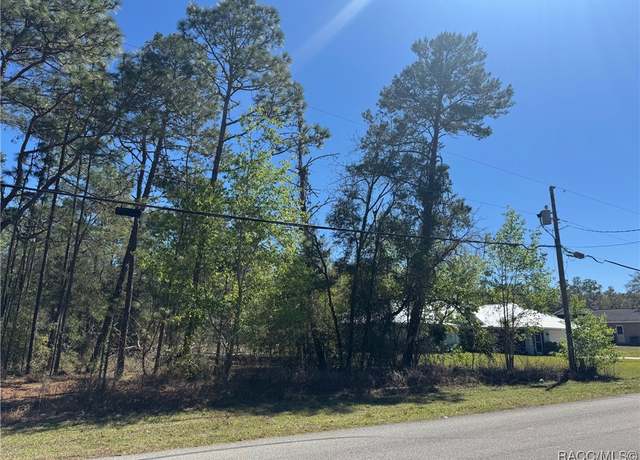 Property at 3219 N Tyrone Ave, Hernando, FL 34442