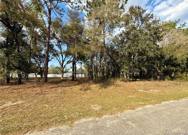 Property at 151 W Reef Ln, Dunnellon, FL 34434