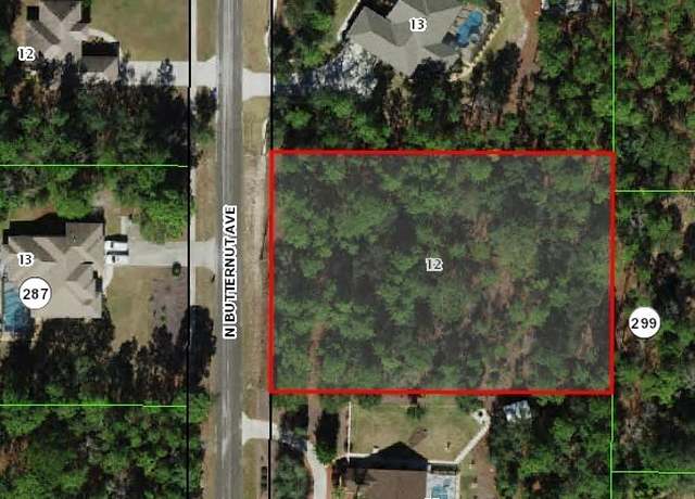 Property at 4579 N Butternut Ave, Beverly Hills, FL 34465