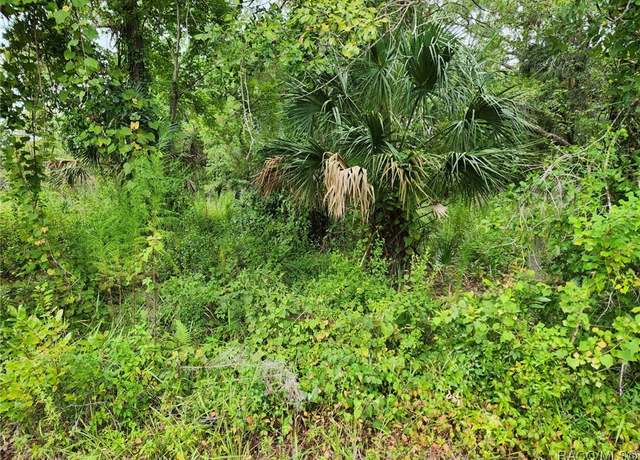 Property at 2070 E Patchwork Ln, Inverness, FL 34453