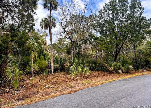 Property at 6250 S Banyon Dr, Homosassa, FL 34448