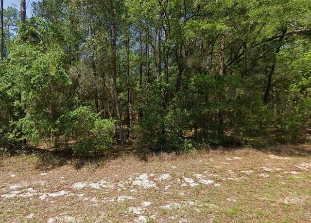 Property at 8566 N Spikes Way, Dunnellon, FL 34434