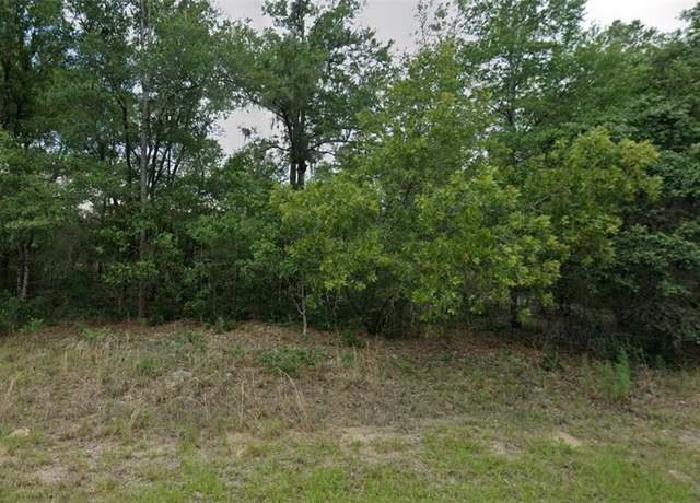 Property at 11230 N Terra Cotta Dr, Citrus Springs, FL 34434