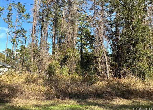 Property at 9879 N Athenia Dr, Citrus Springs, FL 34434