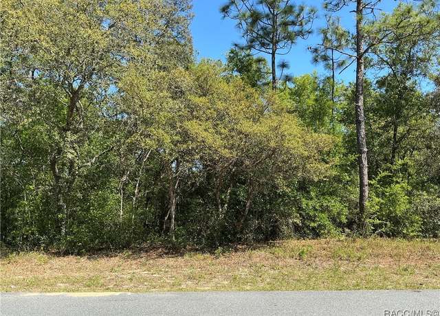 Property at 2924 W Camilo Dr, Citrus Springs, FL 34434