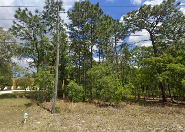 Property at 2877 W Pine Ridge Blvd, Beverly Hills, FL 34465