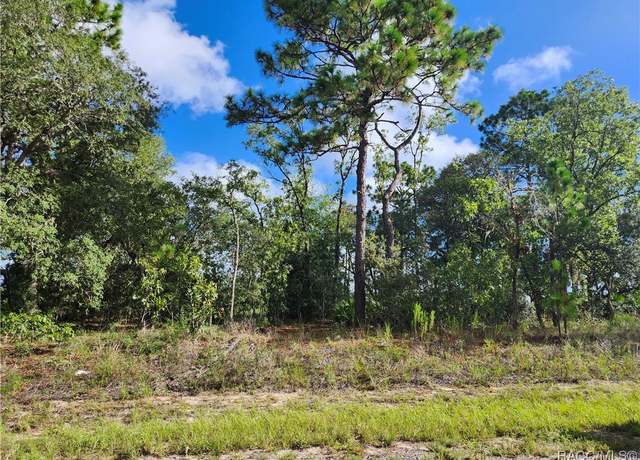 Property at 6731 N Darlington Dr, Dunnellon, FL 34434