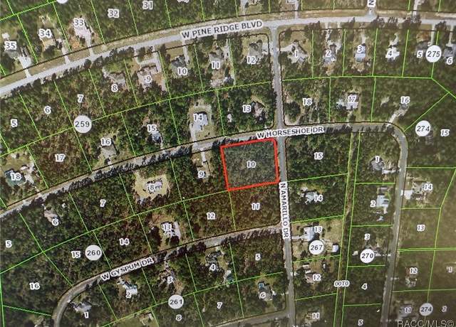 Property at 4648 W Horseshoe Dr, Beverly Hills, FL 34465