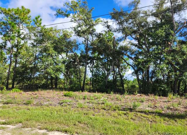 Property at 6715 N Darlington Dr, Dunnellon, FL 34434