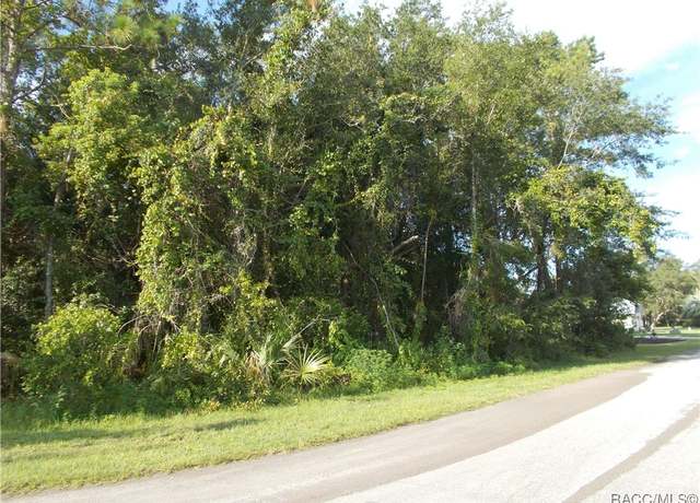 Property at 1 Sycamore Court Ct W, Homosassa, FL 34465