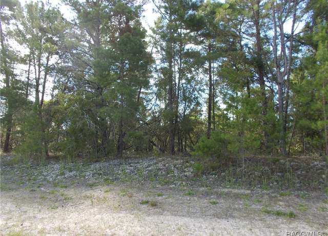 Property at 4806 W Pine Ridge Blvd, Beverly Hills, FL 34465