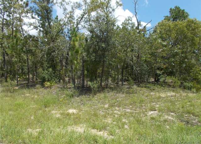 Property at 6751 N Waterfall Ter, Citrus Springs, FL 34434