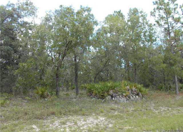 Property at 6667 N Underwood Dr, Citrus Springs, FL 34434