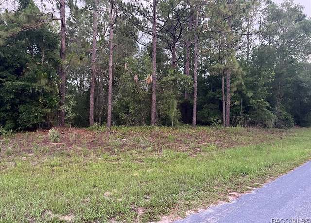 Property at 9553 N Travis Dr, Citrus Springs, FL 34434