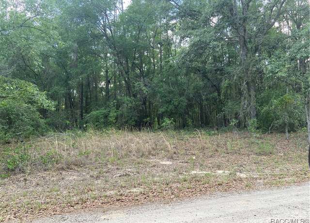 Property at 247 E Mcfaddin Pl, Citrus Springs, FL 34434