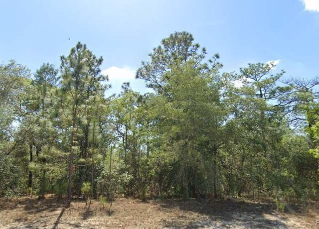 Property at 7932 N Elkcam Blvd, Citrus Springs, FL 34433
