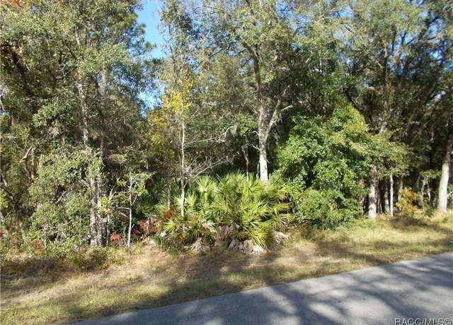 Property at 3055 W Viking Ln, Citrus Springs, FL 34433